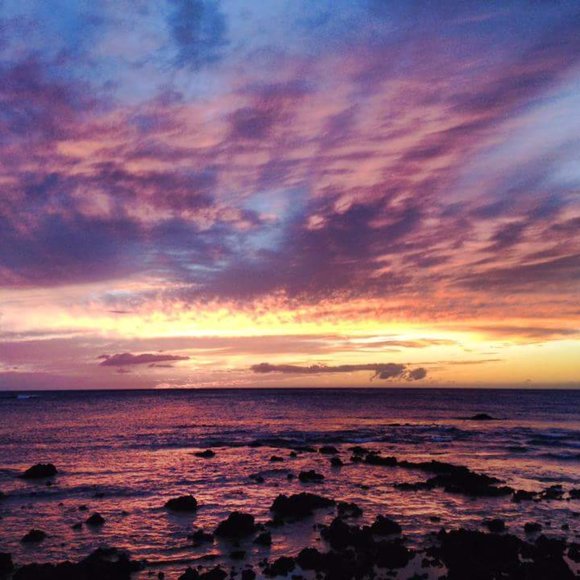 Clearance: Everything Must Go. Make An Offer. Bundle & Save. Buy Now! - Picture 5 of 17